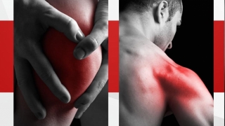 Saiba como prevenir, tratar e acelerar a recuperação de lesões musculares