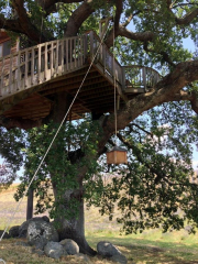Esta é a casa na árvore mais incrível que você já viu