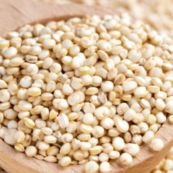 7 bons motivos para consumir Quinoa