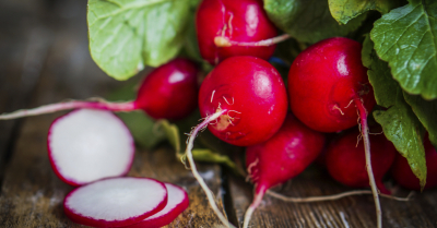 Rabanete: mais cor e sabor às saladas e benefícios para a saúde