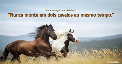 (Para alcançar os seus objetivos) “Nunca monte em dois cavalos ao mesmo tempo.”