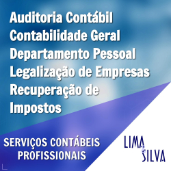 Lima & Silva - Contabilidade e Auditoria