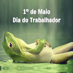 1º de Maio - Dia do Trabalhador