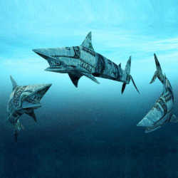 Os 4 principais erros dos pequenos empresários segundo o Shark Tank